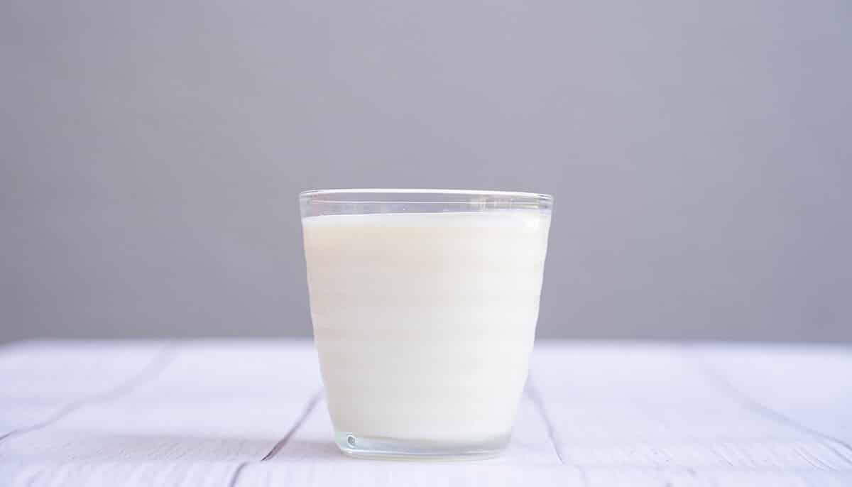 leche de vasito de magnesia